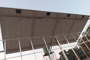 WhatsApp Image 2024-10-03 at 05.03.19(1)