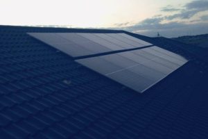 WhatsApp Image 2024-10-03 at 05.03.23